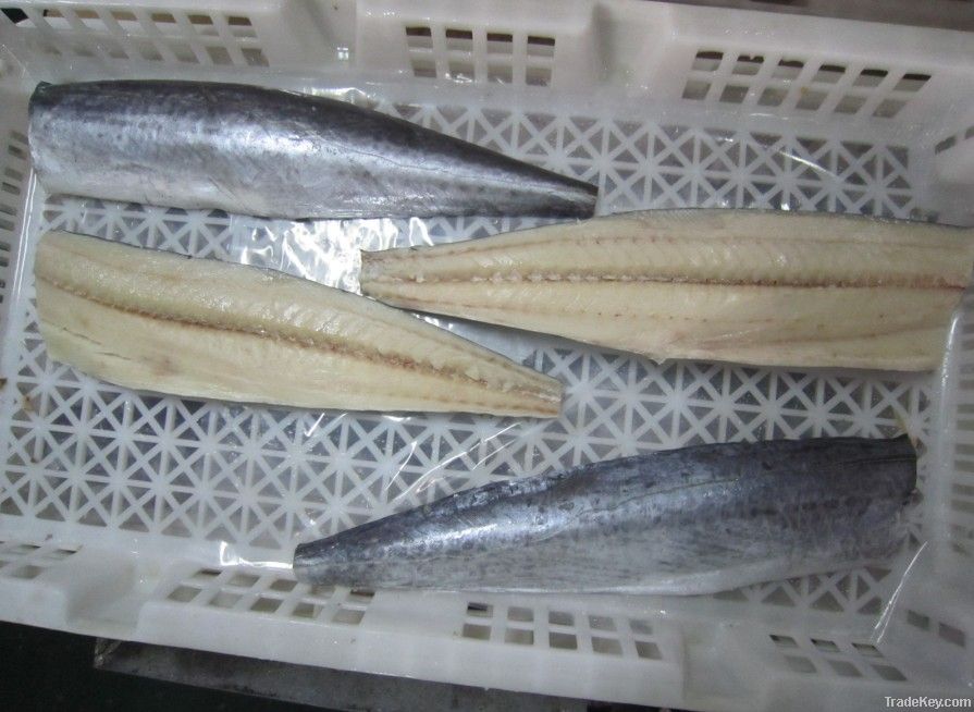 A&B grade frozen spanish mackerel fillets