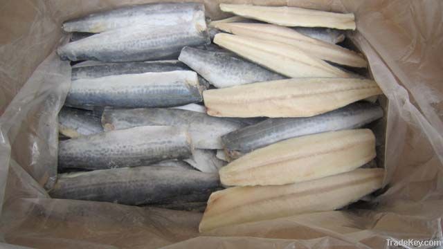 Good quality frozen spanish mackerel fillets