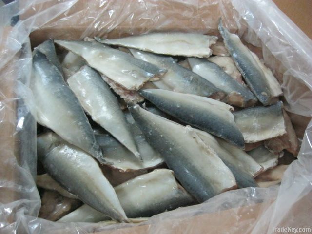 Frozen mackerel fillets