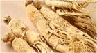 Ginseng (Dry Roots)