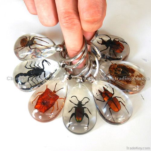 Wholesale real insect jewelry Insects keychain