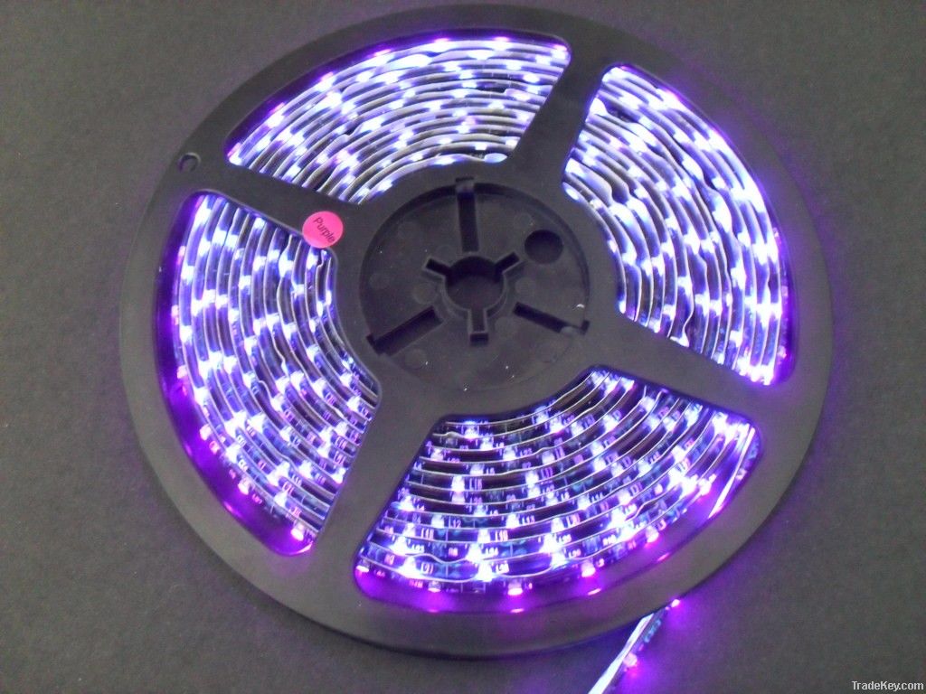 flexible LED strip