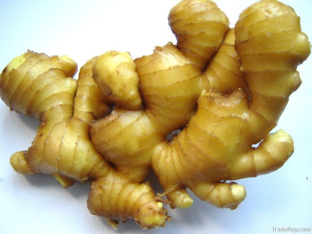 Fresh Ginger