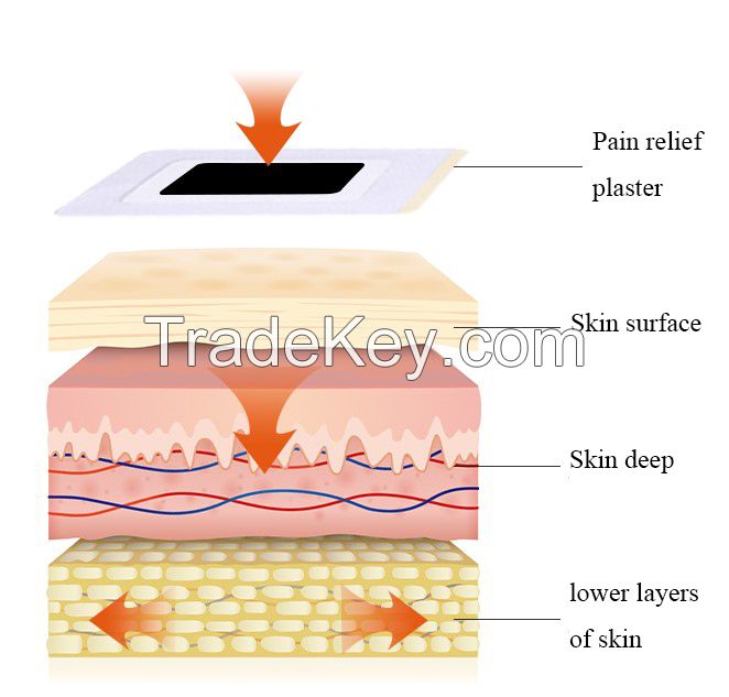 Chinese traditional medicinal patches with osteoproliferation remission 