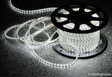 LED Flexible Strip Light 110V/ 220V