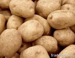 Potatoes