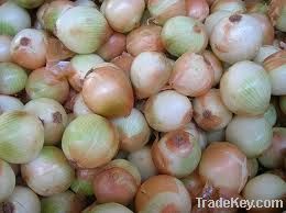 White Onions