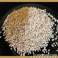 white sesame seeds