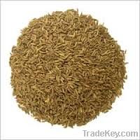 caraway seeds