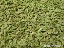 fennel seeds