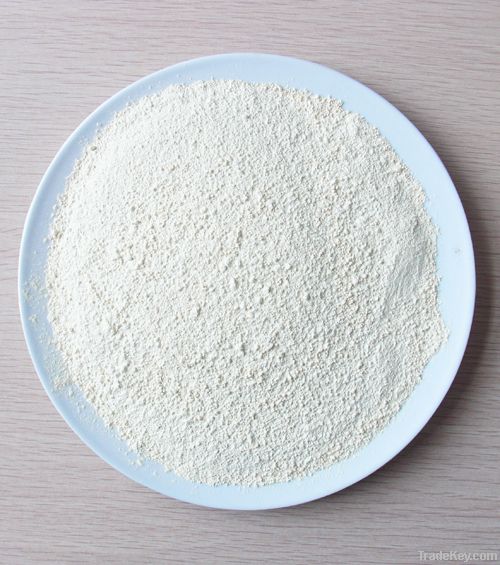 dehydrated garlic powder