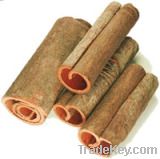 Cinnamon Bark Extract