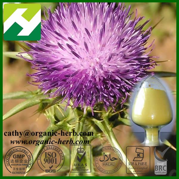 Milk Thistle Extract 80% Silymarin