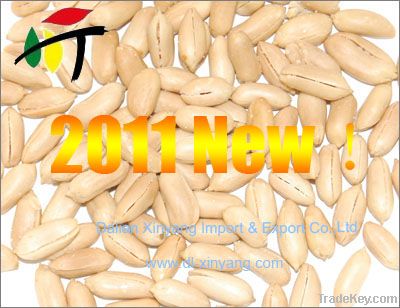 2011 China peanut