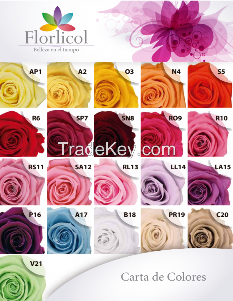 Preserved Roses and other varieties