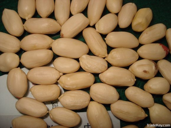 Blanched Peanut