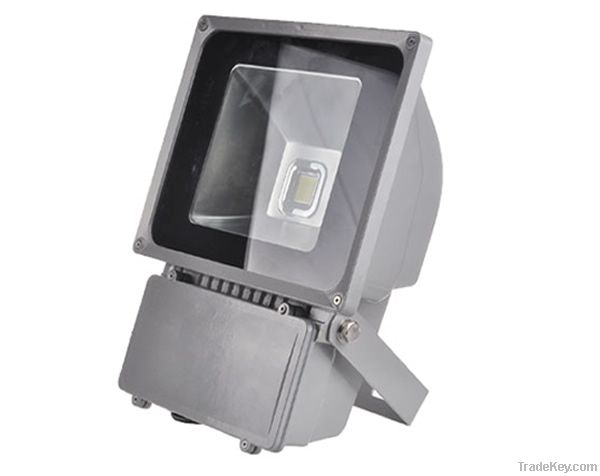 White Floodlights (80w)