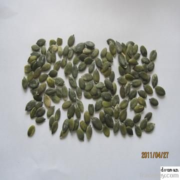 shine skin pumpkin seed kernel