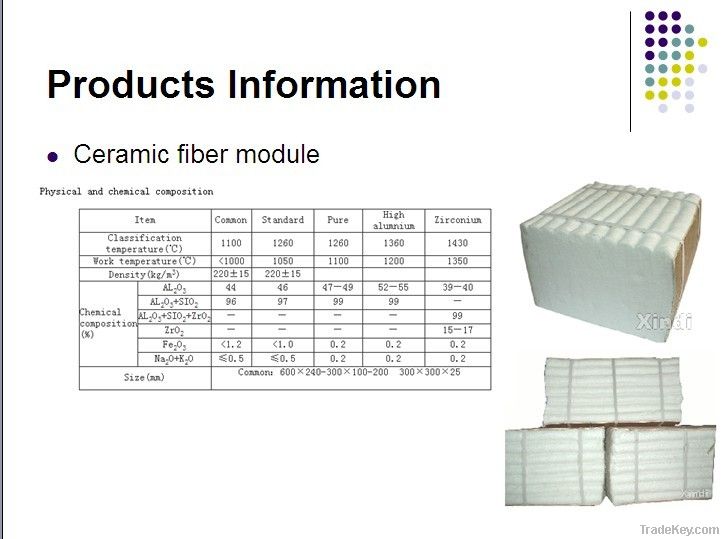 ceramic fiber modules