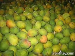 Alphonso Mango