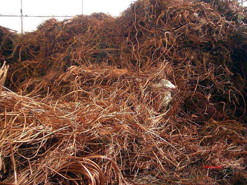  Millberry Copper Scrap| Copper Scraps Suppliers | Copper Scrap Exporters | Copper Scrap Manufacturers | Cheap Copper Scrap | Wholesale Copper Scraps | Discounted Copper Scrap | Bulk Copper Scraps | Copper Scrap Buyer | Import Copper Scrap | Copper Scrap 
