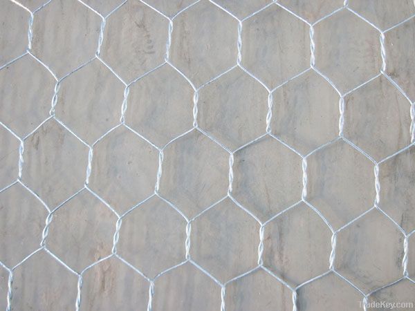 Hexagonal wire mesh