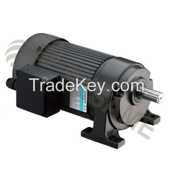 Precision Gear Motor (Foot-Mount Type)