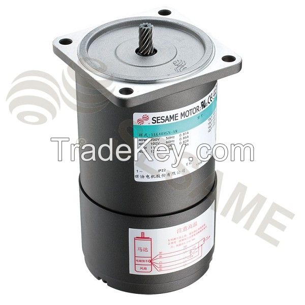 AC Electro-Magnetic Variable Speed Brake Motor