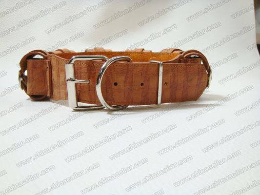 weighted dog collars