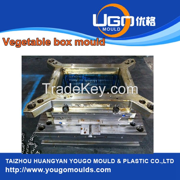 Plastic Injection Crate Mould