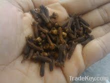 Cloves