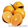 Oranges