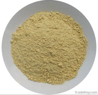 Dehydrated Ginger Powder