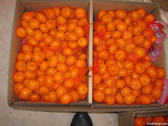 Nanfeng orange