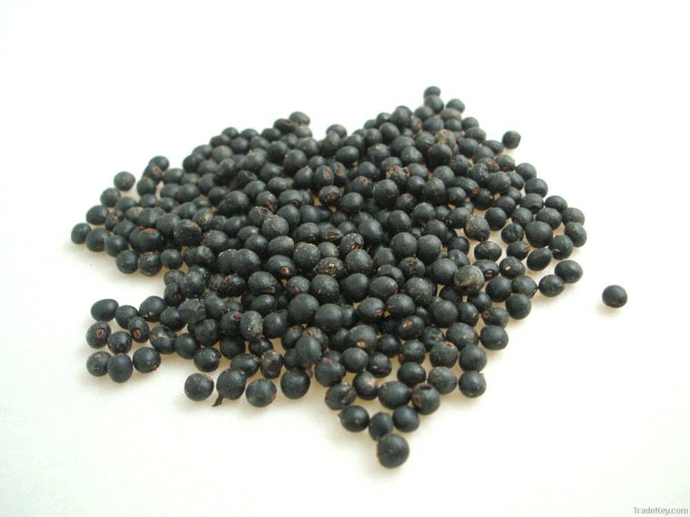 Falcata seeds