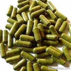 moringa leavs powder and capsules