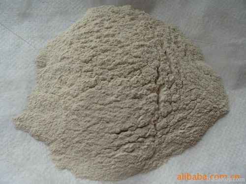 Hydroxypropyl Methyl Cellulose