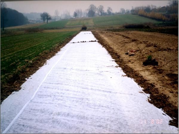 ground cover, landscape fabric, insect barrier, frost winter protection