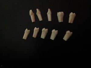 Frasaco Teeth