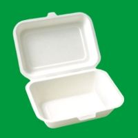 Disposable food container