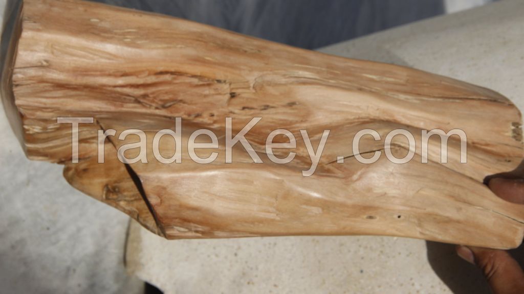 sandalwood logs