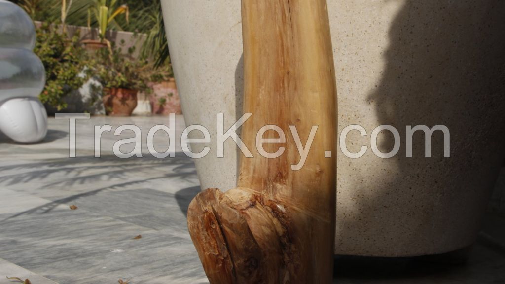 sandalwood logs for furniture