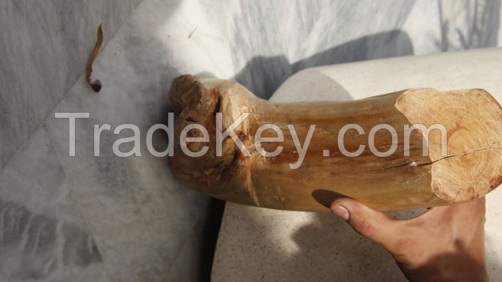 sandalwood logs for furniture