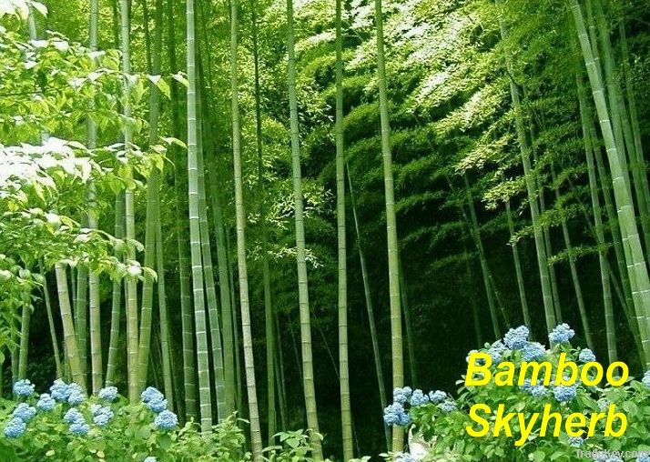 Bamboo leaf extract/plant extract/natural nutrition