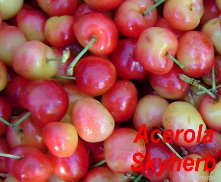Acerola extract/Natural Vitamin C/fruit extract