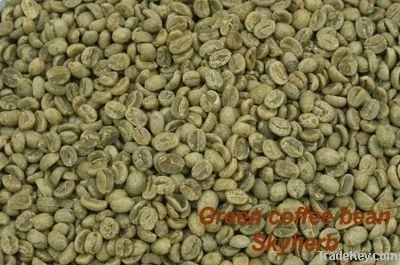 Green coffee bean extract /Chlorogenic acid/botanical extract