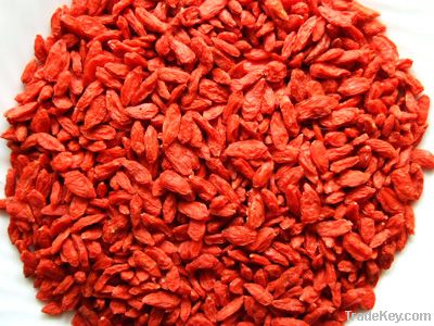 Goji Powder