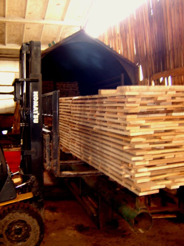 Beech lumber. KD.