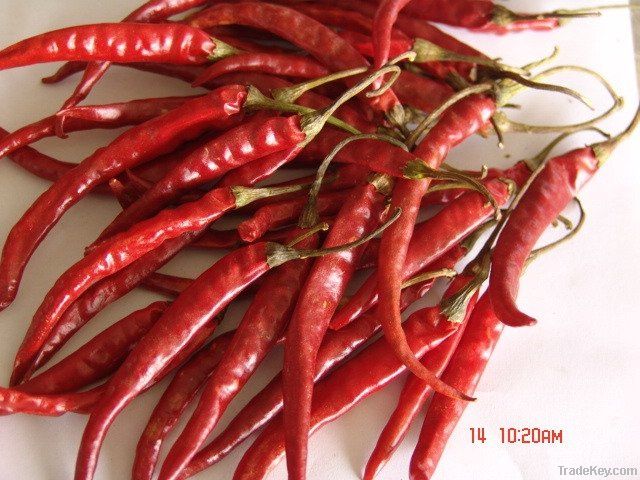 Dry Red Chilli