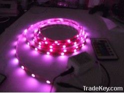 LED Flexible Strip